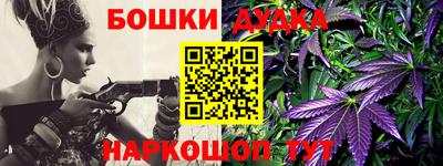 прущие крисы Камышлов