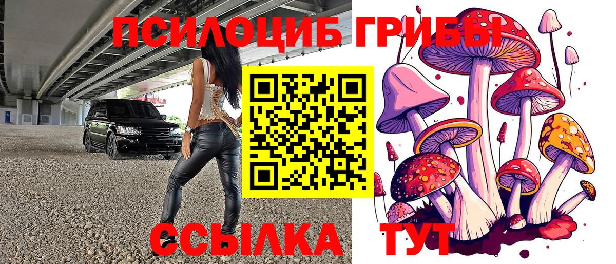 Галлюциногенные грибы Magic Shrooms Красноярск